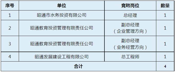 尊龙国际娱乐2023年昭通发展集团有限责任公司子公司高级管理